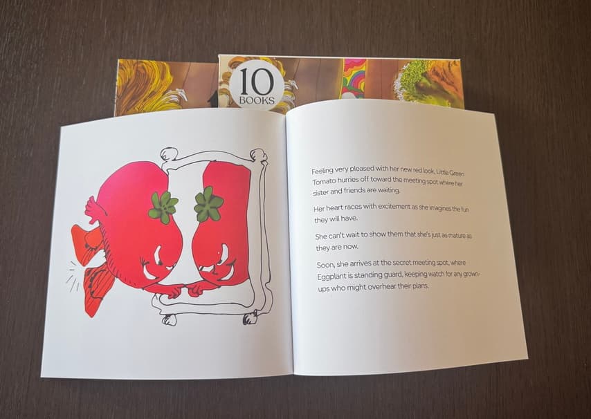The Hole in the Fence — an open book showing illustrations and story text, with the box set behind